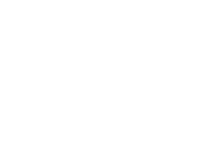 V-Corp International